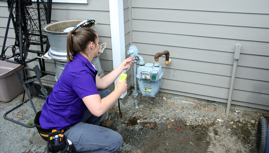 Gas Leak Testing Sterling Inspection Group Gas Leak Testing Sterling Inspection Group